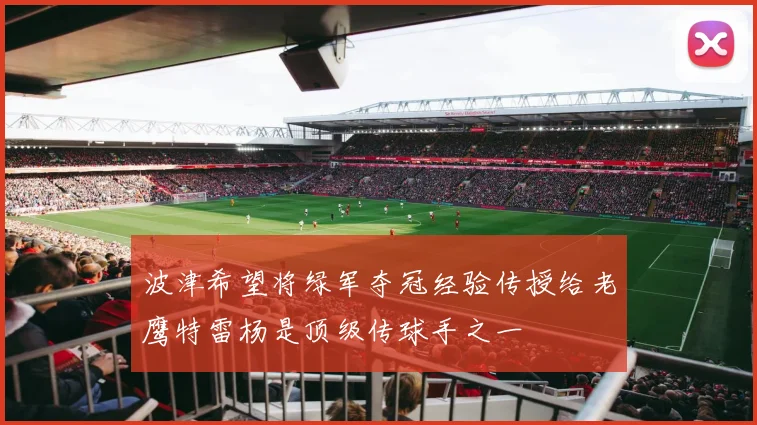 波津希望将绿军夺冠经验传授给老鹰特雷杨是顶级传球手之一