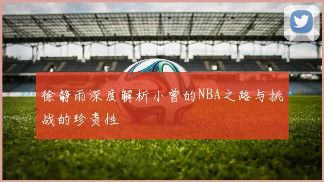 徐静雨深度解析小曾的NBA之路与挑战的珍贵性