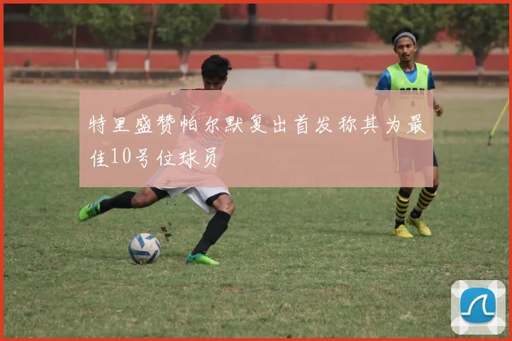 特里盛赞帕尔默复出首发称其为最佳10号位球员
