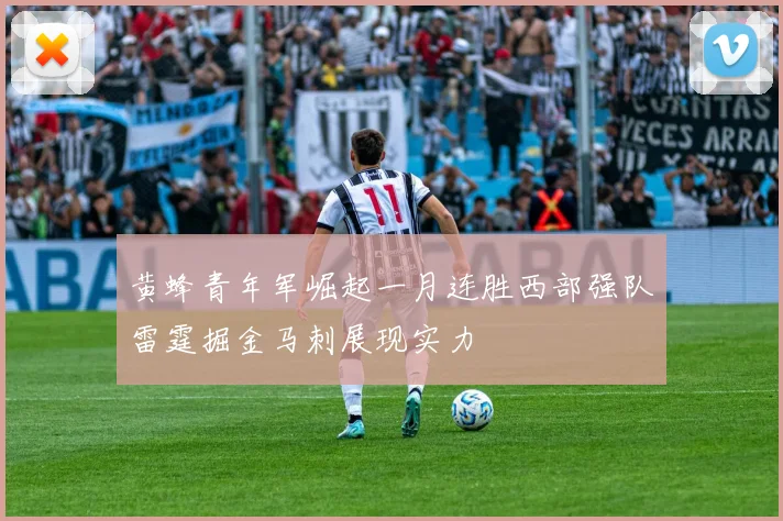 黄蜂青年军崛起一月连胜西部强队雷霆掘金马刺展现实力