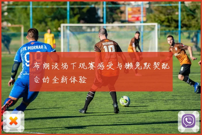 布朗谈场下观赛感受与獭兔默契配合的全新体验